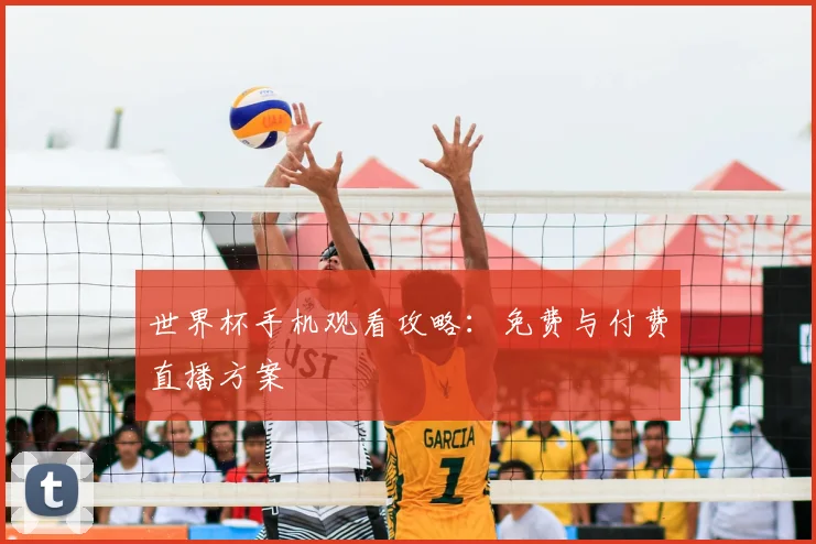 世界杯手机观看攻略：免费与付费直播方案